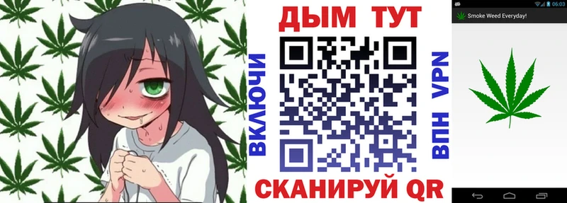 Купить закладку Черноголовка Кокаин Альфа ПВП Бутират ГАШ Бошки Шишки