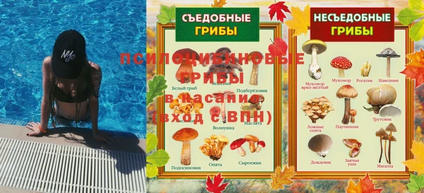 мяу мяу мука Ладушкин