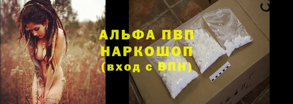 ГАЛЛЮЦИНОГЕННЫЕ ГРИБЫ Лагань