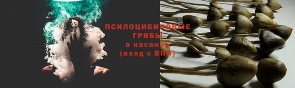 мяу мяу мука Ладушкин