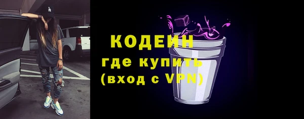 сатива Кулебаки
