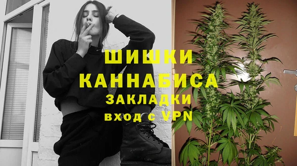 ГАЛЛЮЦИНОГЕННЫЕ ГРИБЫ Лагань