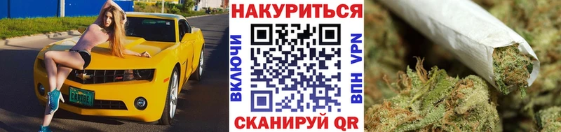 Бошки Шишки гибрид  где купить наркотик  Черноголовка 